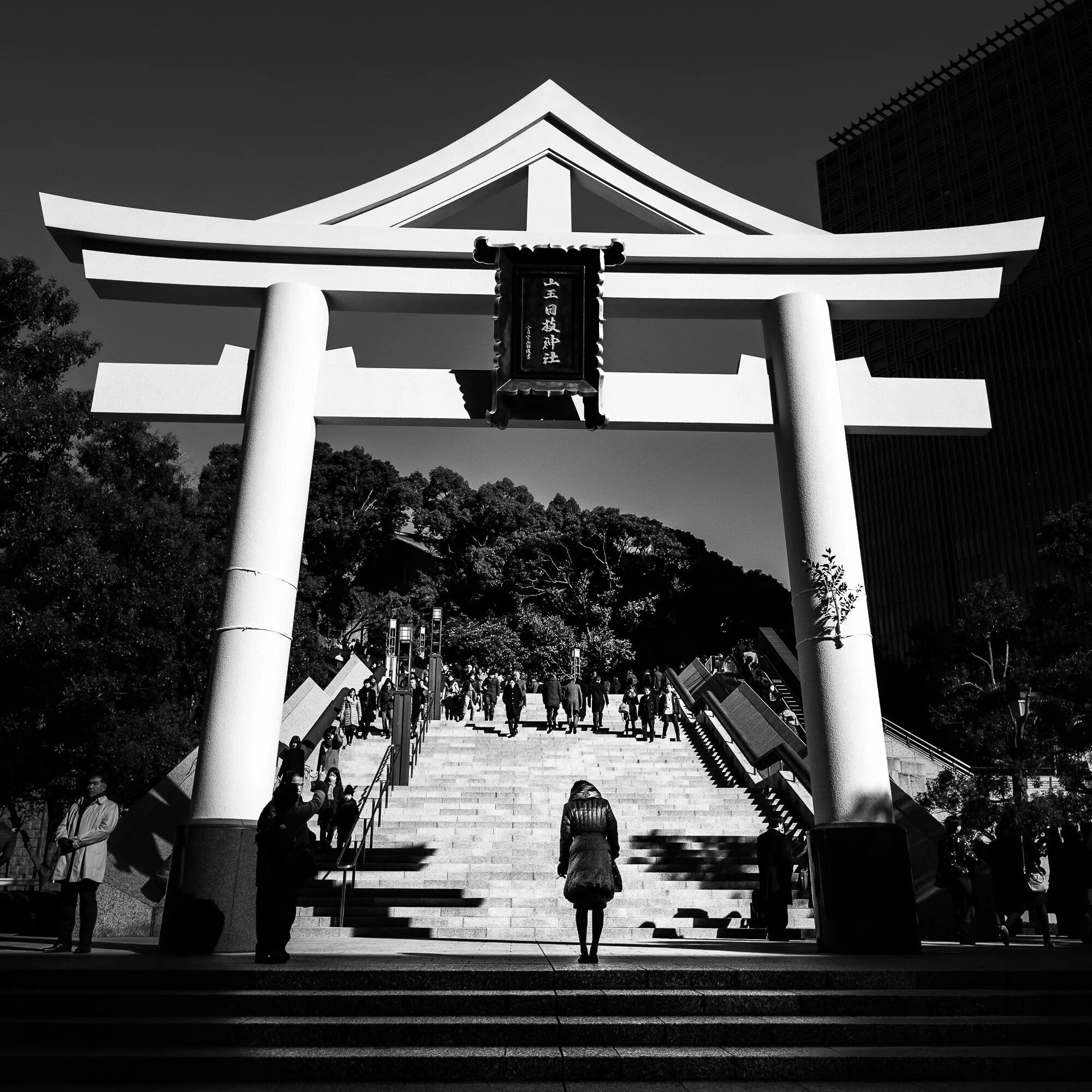 Tokyo black. Черная Япония. Япония чб. Черный цвет в Японии. Black and White Япония.