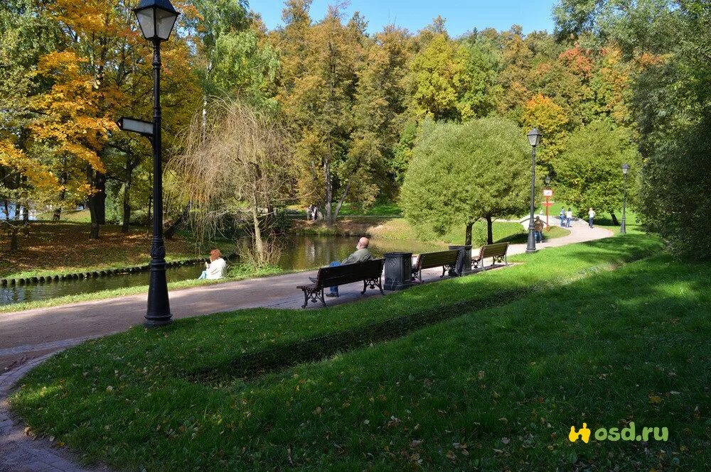 Включи дикий парк. Дуб в парке Царицыно. Дикий парк. Парк Царицыно дуб местоположения. Копкинский парк диких животных.