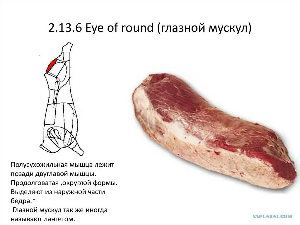 Разделка говядины туши глазной Мускул. Говядина разделка глазной Мускул. Разделка туши говядины схема глазной Мускул. Часть свиной туши кострец.