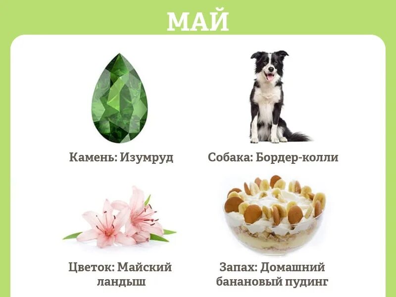 Камни года собаки