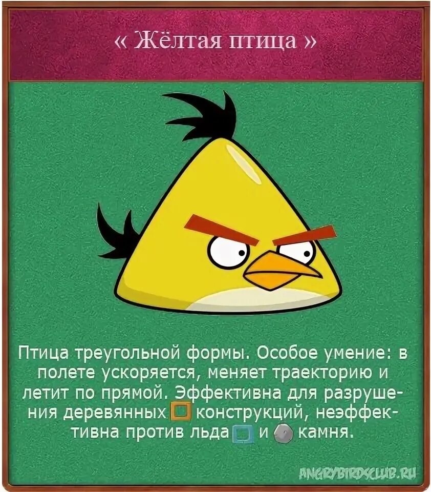 Как зовут птичку