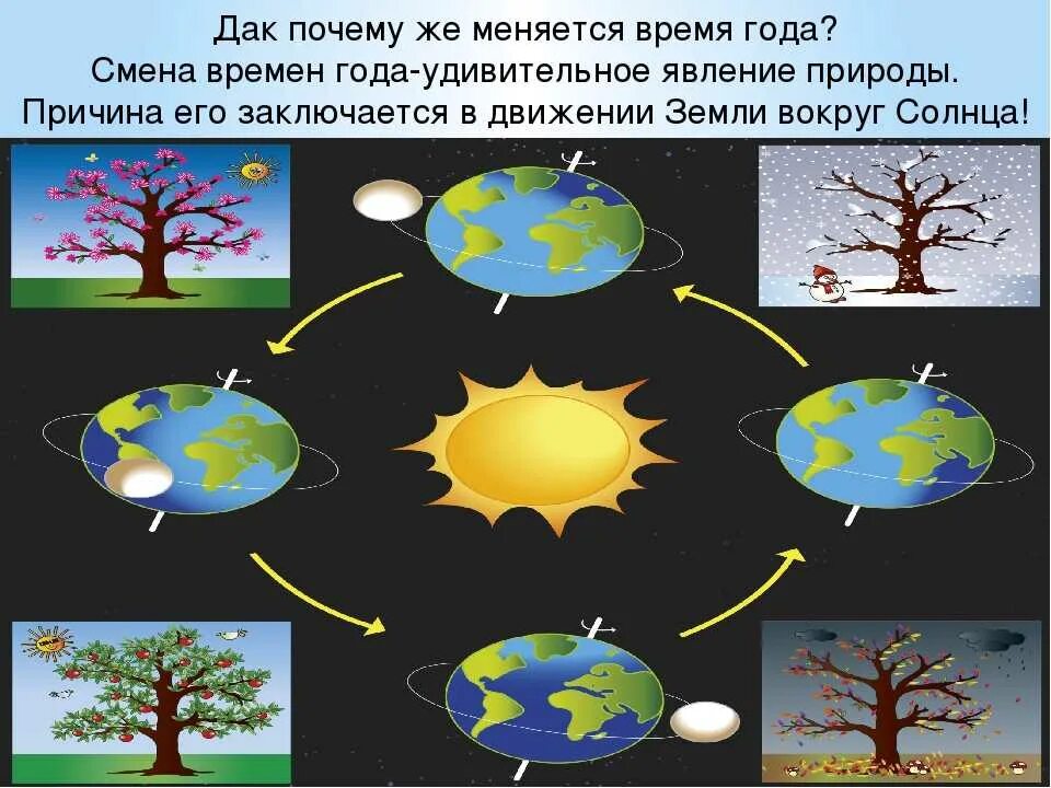 Смена времен года. Смена времен года схема. Смена времен года для детей. Влияние смены времен года на жизнь человека. Почему меняется в разные