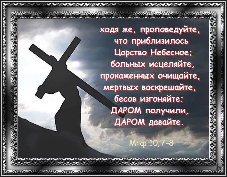 Не лучший сын грешников изгнанных