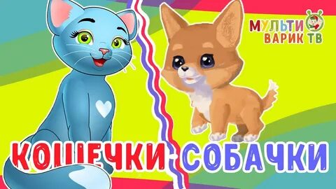 Кошечки собачки песенки