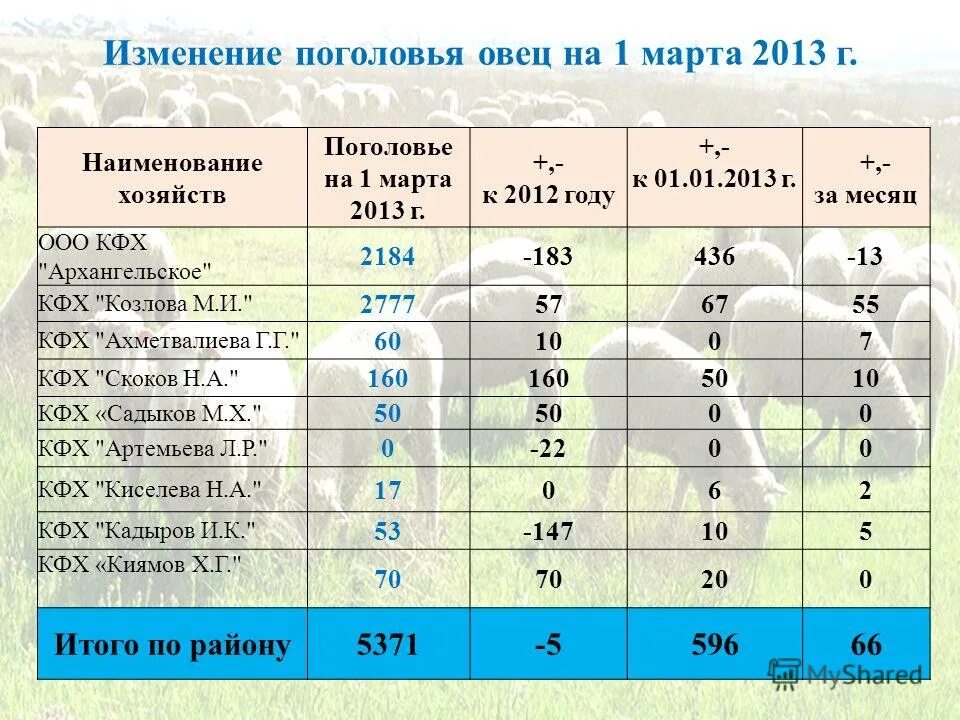 структура стада овец