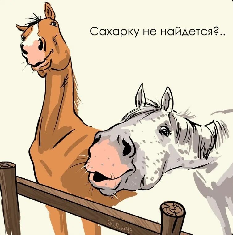 Жрешь как лошадь мужское. Лошадь карикатура. Анекдоты про лошадей. Смешная лошадь рисунок. Лошадь юмор.