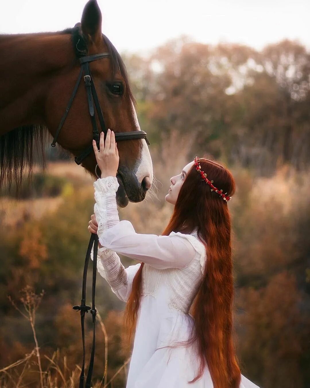 Девки и лошади. Фотосессия с лошадьми. Девушка с лошадью. Красивая фотосессия с лошадью. Девочка на лошади.