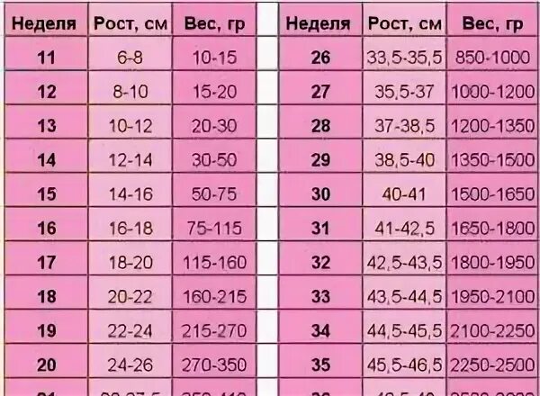 30 недель это. Вес плода по неделям. Вес ребёнка в неделях беременности. Вес ребёнка по неделям беременности. Вес и рост плода по неделям.