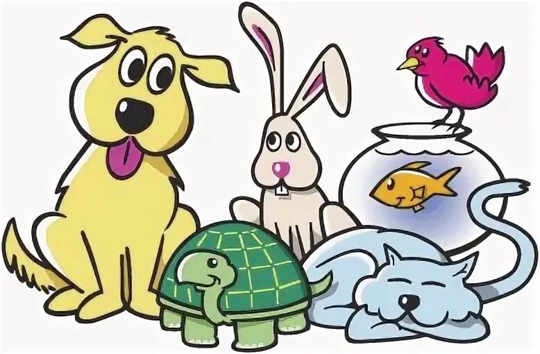 My pet animal