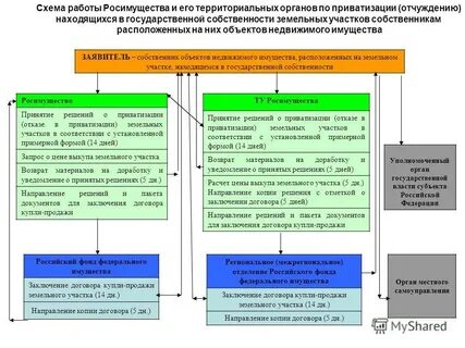 Территориальная росимущество