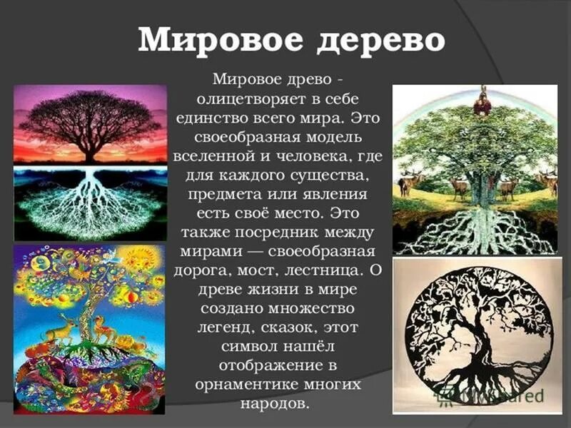 Мировое Древо фусан картина. Древо жизни мировое дерево. Образ мирового древа. Деревья символы стран