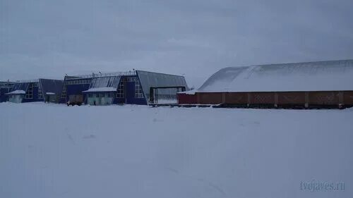 бассейн фок инта. фок западный инта. бассейн фок инта. фок западный инта. инта юность бассейн инта.