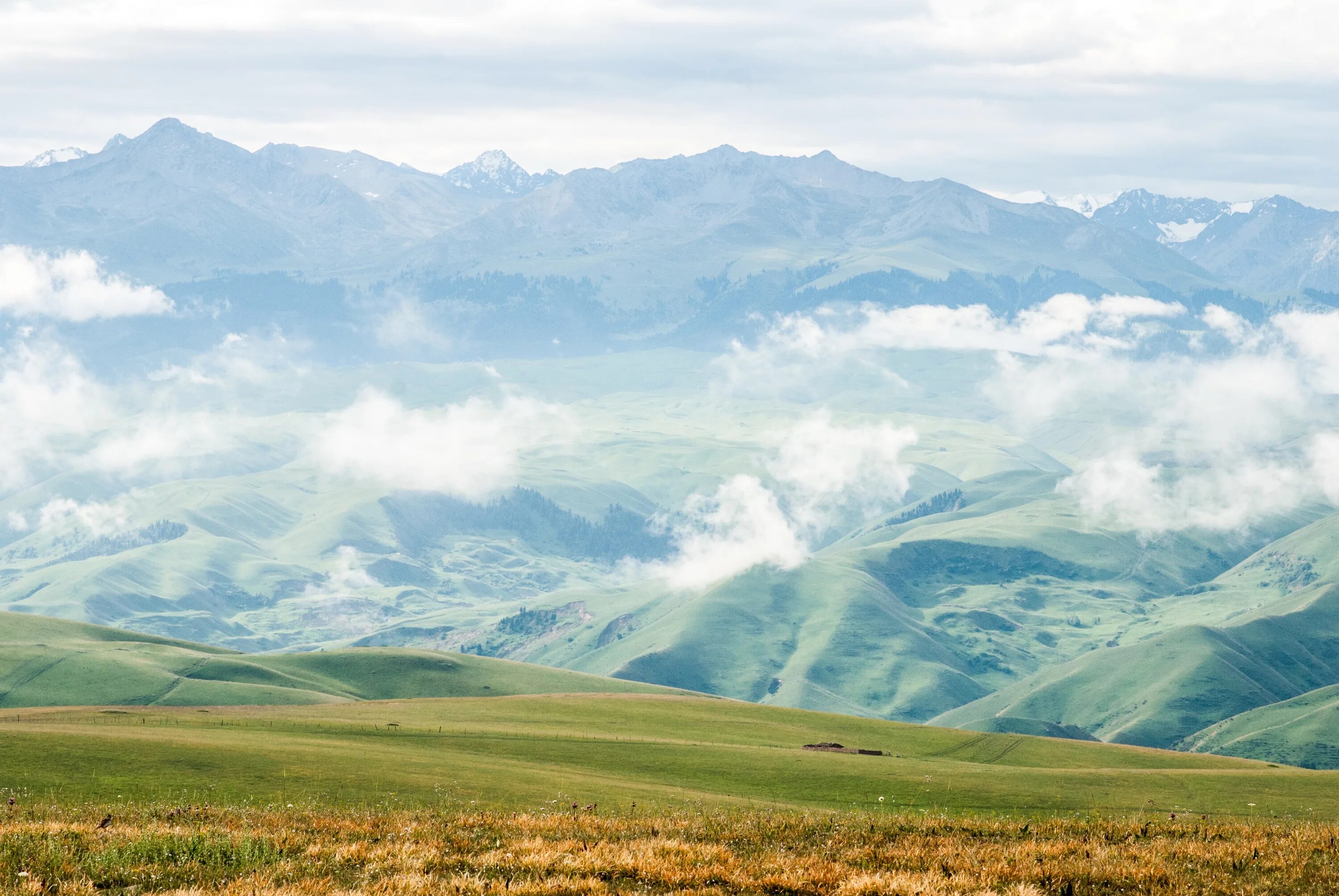 Как называется равнина на горе. Ферганская Долина Узбекистан. Горы Ферганской Долины. Ферганская Долина природа Узбекистан. Узбекистан Ферганская Долина холмы.