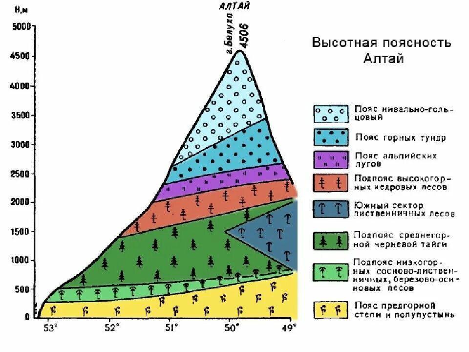 Высотная поясность таблица природные зоны. Схема ВЫСОТНОЙ поясности алтайских гор. Схема ВЫСОТНОЙ поясности в горах Алтая. Природные зоны ВЫСОТНОЙ поясности Алтая. Высотная поясность зоны Алтай.