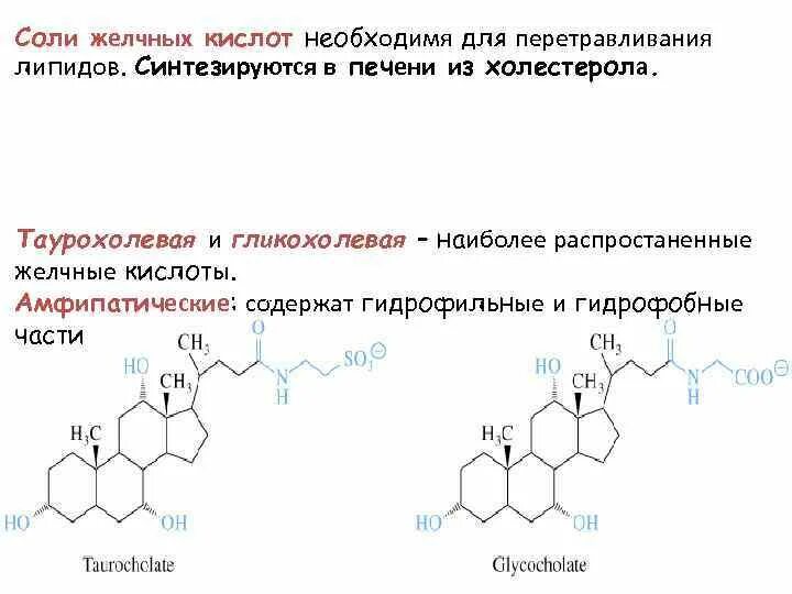 Липиды желчных кислот. Соли желчных кислот биохимия. Соли желчных кислот формула. Синтез парных желчных кислот. Реакции гидроксилирования желчных кислот.