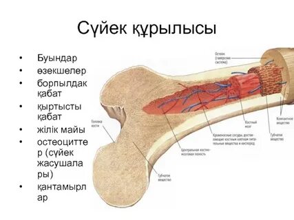 YouTube сайтындағы GTA 5 порно онлайн бейнелері