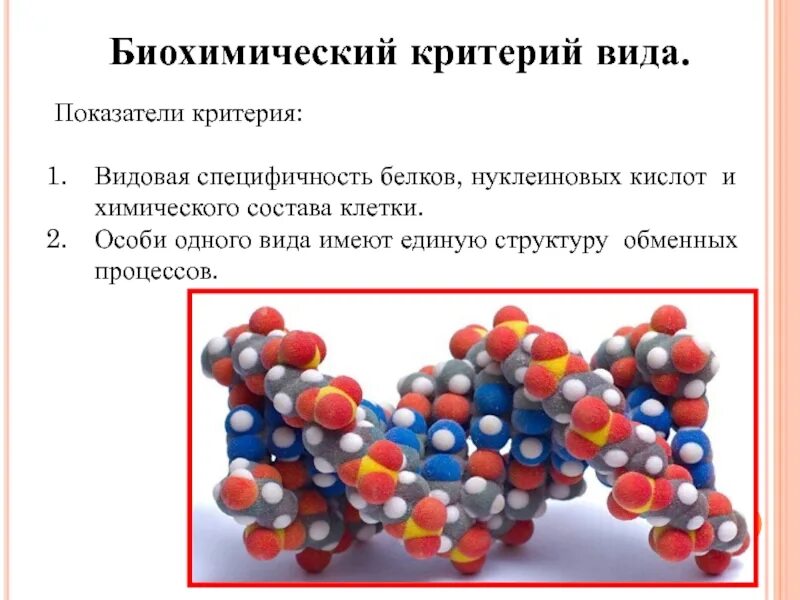 Видовая специфичность. Видовая специфичность белков. Биохимический критерий в биологии. Биохимический состав клетки.