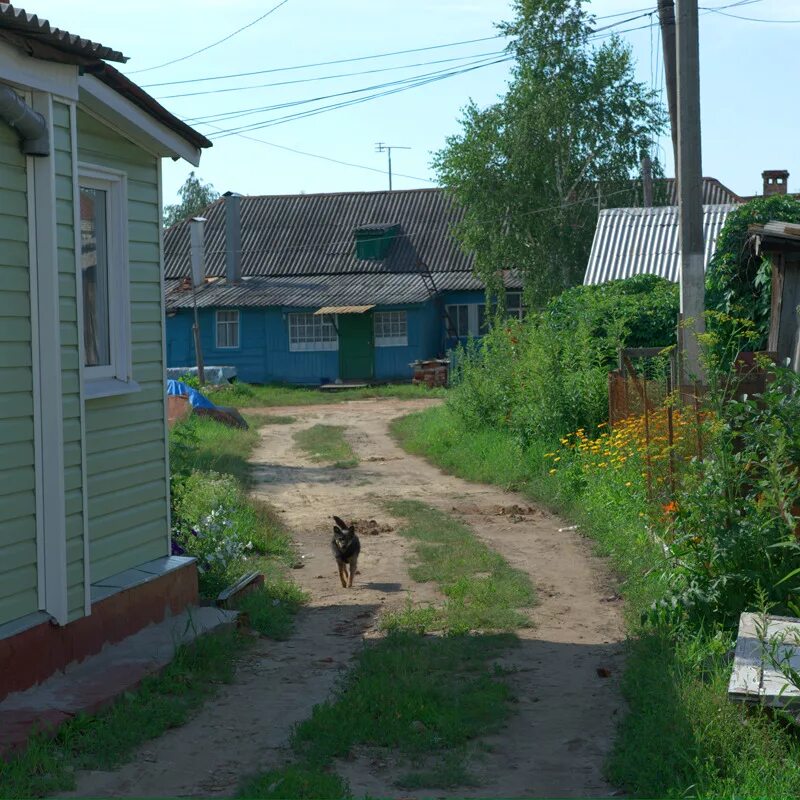 Погода в кирсанове на неделю тамбовской области. Кирсановский район г. Кирсанов. Деревня Трубниково Тамбовская область Кирсановский район. Кирсанов река Пурсовка 2000. Кирсановский район поселок советское.