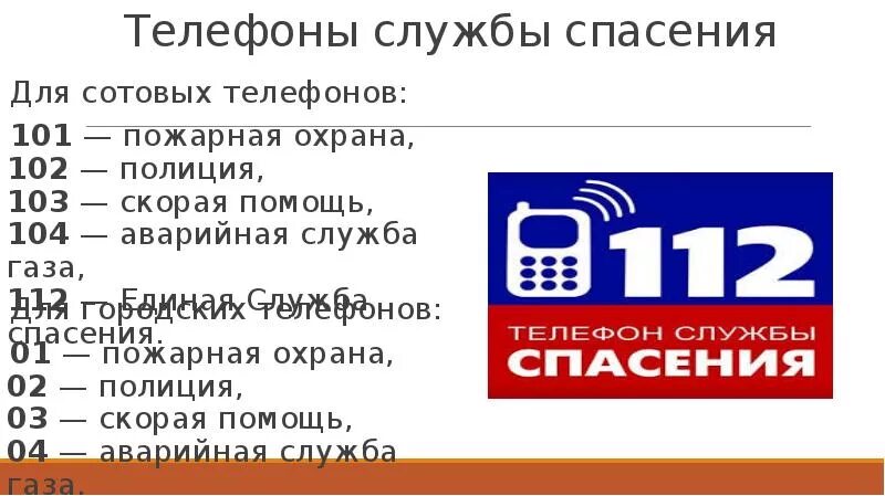 Пулково телефоны служб. Номер службы спасения животных. Номер телефона службы спасения. Номер телефона по спасению животных. Номера служб спасения.