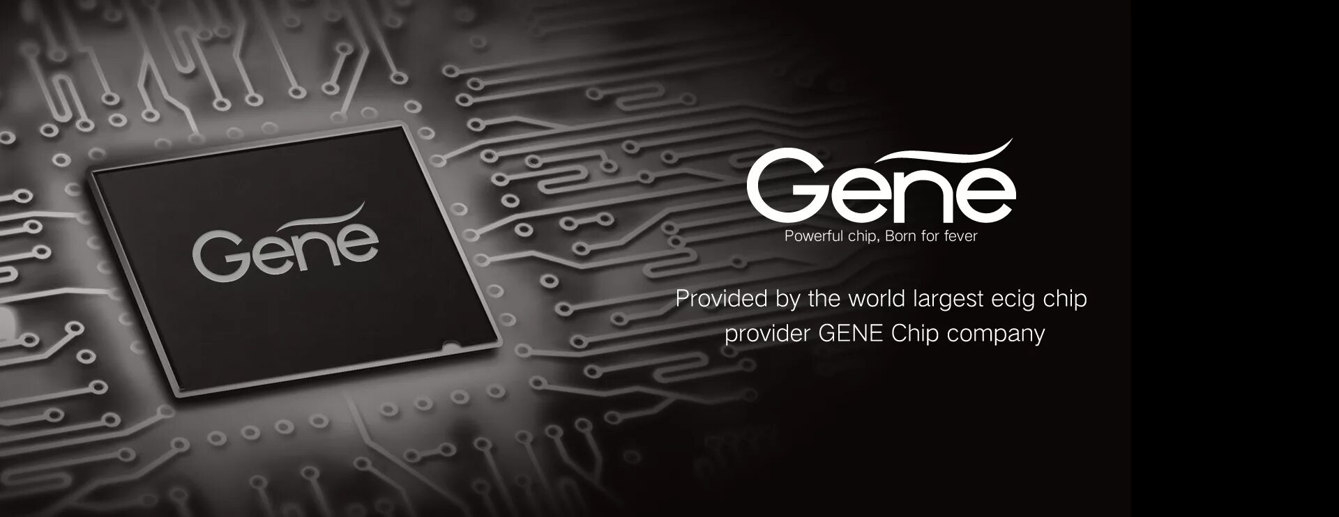 Gene chip inside инструкция на русском. чип микроэлектроника. алу на микросхеме 74181. Gene chip фото. минифит gene chip inside.