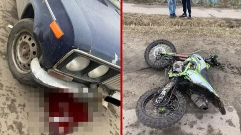 Волк рассказово происшествия