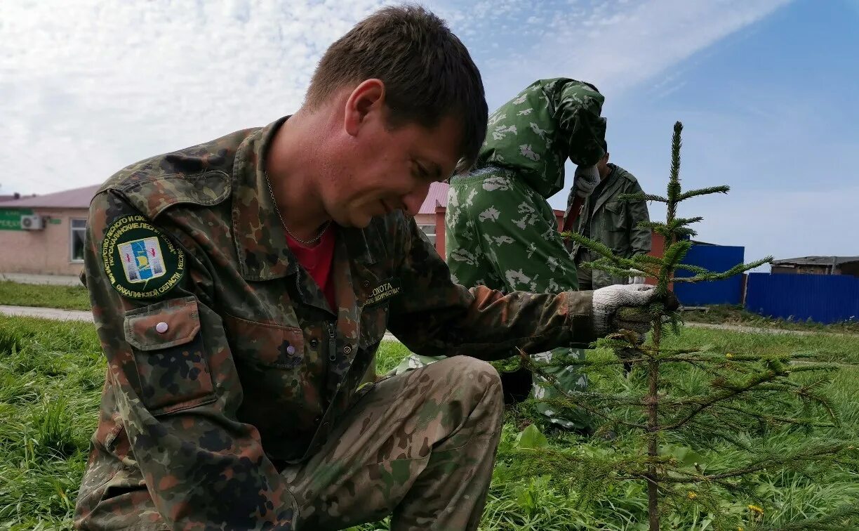 Новости войны 5 апреля. Красногорское лесничество. Макаровское лесничество Сахалинской области.