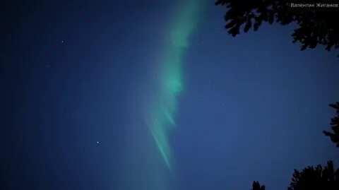 Неожиданное явление