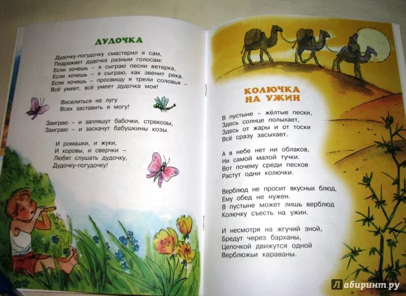 Солнышко солнышко жгучее колючее. Песенка солнышко жгучее колючки колючие. пляцковский колючка на ужин. солнышко солнышко жгучее колючки колючки колючие текст. текст песни колючки.