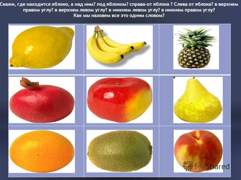 яблоки геншин импакт местонахождение. поперечный разрез плода яблони. химический состав яблока. фарм яблок геншин. где находится яблоко.