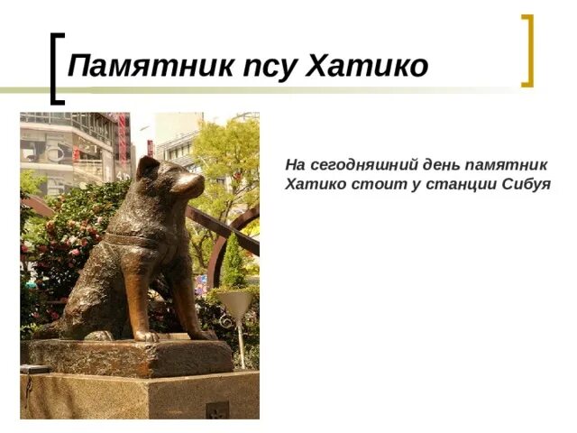 День памяти хатико. Хатико надпись. Собака хатико. День памяти хатико. Памятник акита ину в японии.