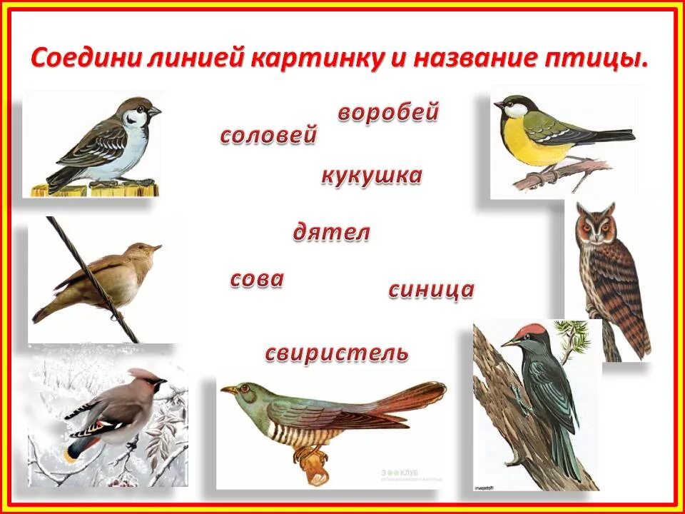 Звуки птиц с названиями. Перелетные и неперелетные птицы для детей. Перелетные птицы для дошкольников. Перелетные и зимующие птицы для детей. Названия зимующих и перелетных птиц.