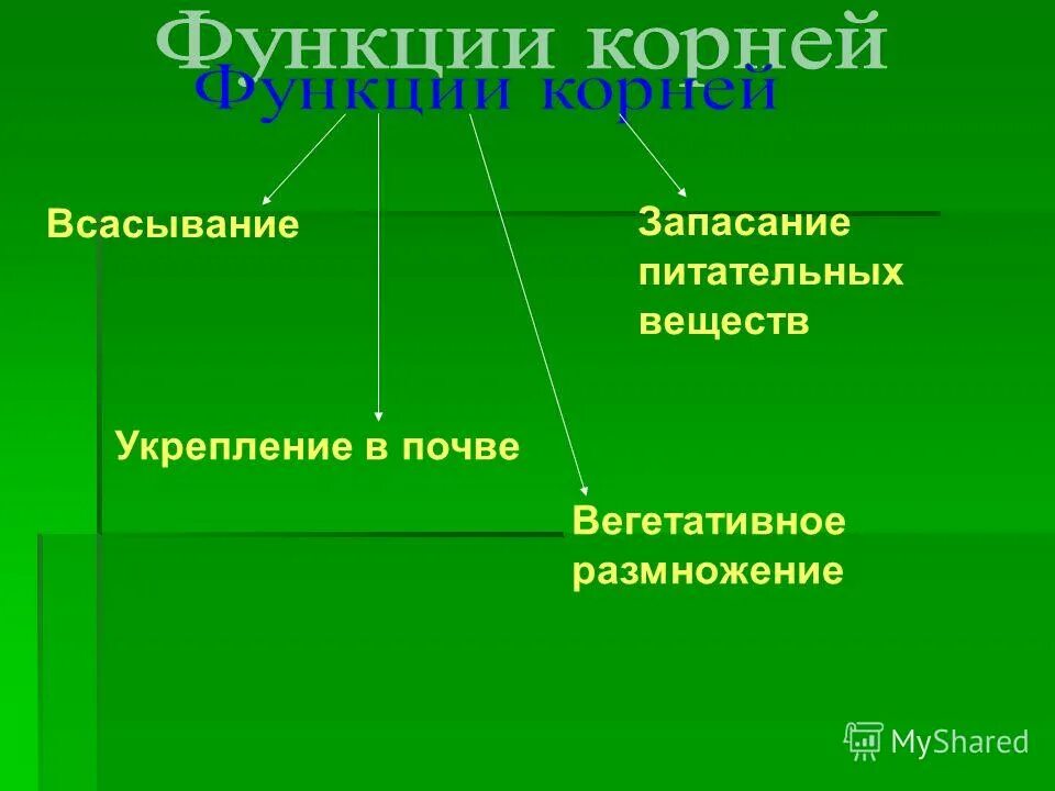 значение корня пол. значение корня пол. значение корня пол. значение корня пол. значение корня пол.