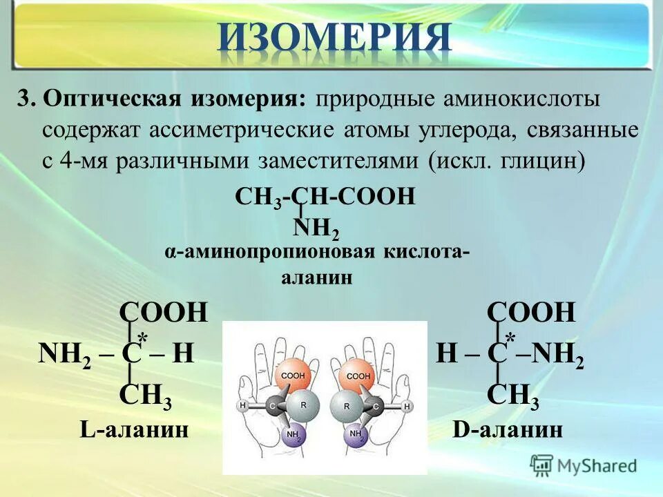 3 аминопропионовая кислота