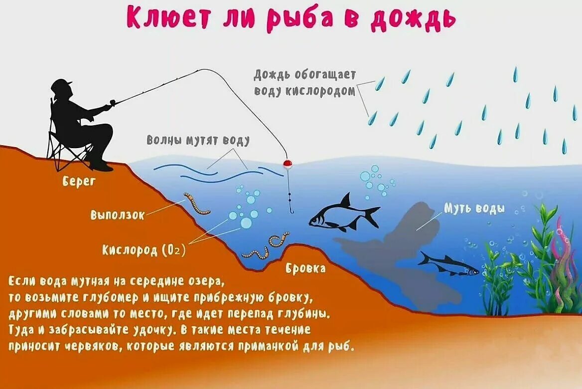 Нормы лова. Ветер для ловли рыбы. Рыболовное давление для поклевки рыбы. Влияние давления на клев. Какой ветер хороший для рыбалки.