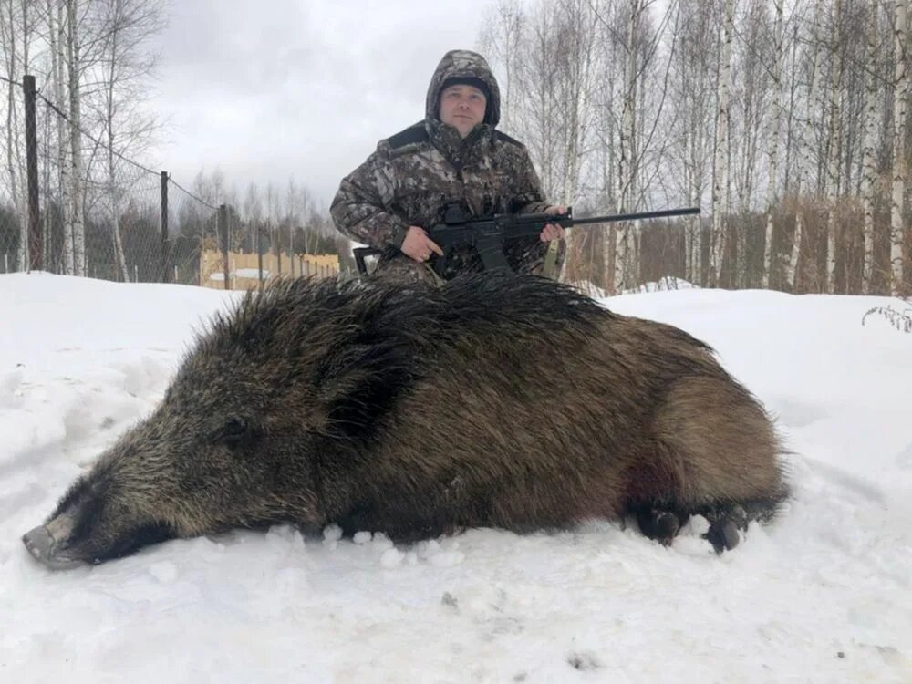 Белый бор охотхозяйство. Сечуга нижегородская область. Авито нижегородская область охота. Авито нижегородская область охота. Авито нижегородская область охота.