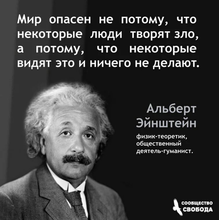 Цитаты о том что не жалею. Жаль что некоторые люди. Некоторые люди цитаты. Высказывания про тупость людей. По дороге вина жизни нашей.