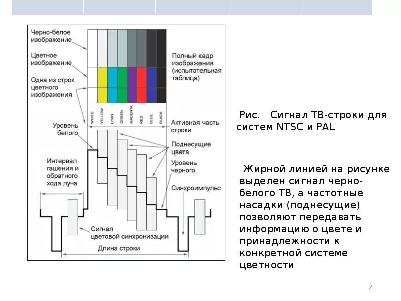 Пцтс сигнал сигнал цветности. Форма полного телевизионного сигнала. Полный цветовой телевизионный сигнал. Полный телевизионный сигнал чёрно-белого телевизора. Пцтс полный телевизионный сигнал.