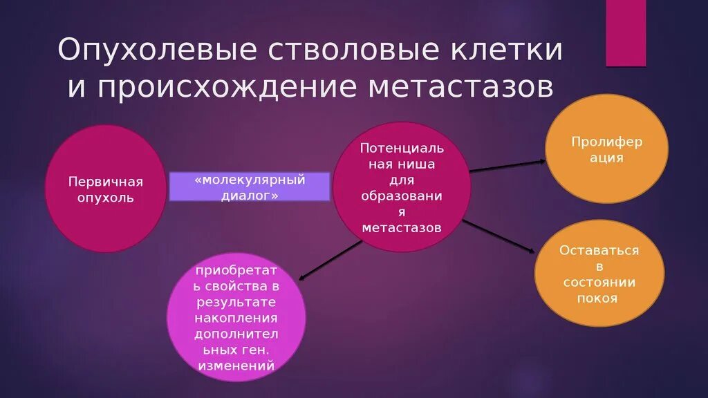 Опухолевые стволовые клетки. Характеристики опухолевых стволовых клеток:. Опухолевые клетки происхождение. Раковые стволовые клетки. Потенциальная ниша