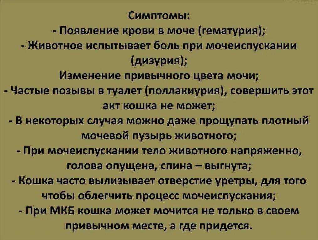 боль и жжение при мочеиспускании