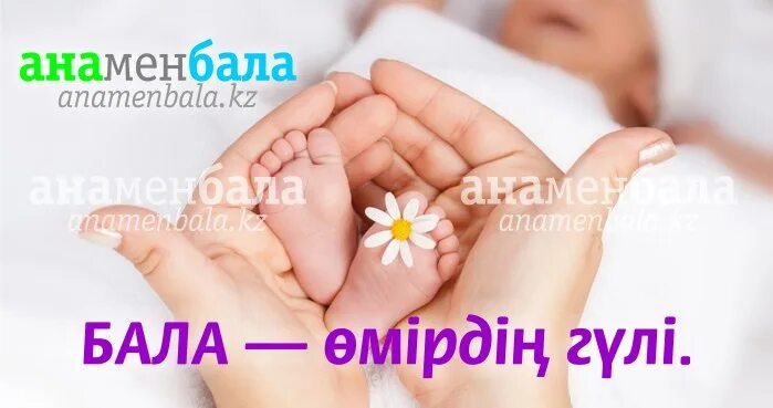 Ана өмірдің гүлі