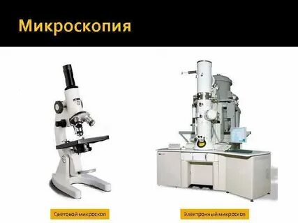 Световым микроскопом