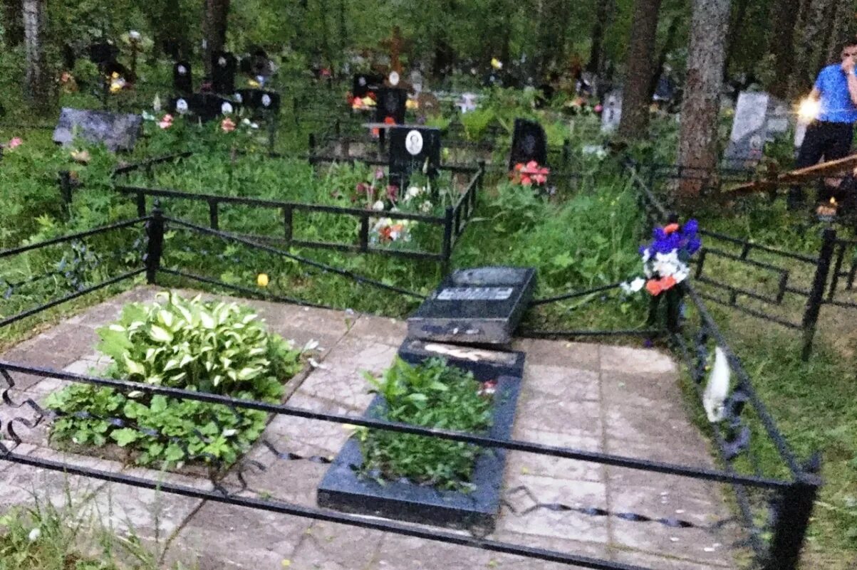 Яма на кладбище. Медведь раскопал могилу на кладбище в нижнем тагиле. Могильная яма. Яма на кладбище. Яма на кладбище.
