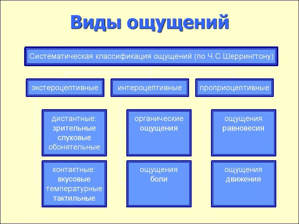 3 класса ощущений. Виды ощущений. Схема виды ощущений. Виды ощущений в психологии. Перечислите виды ощущений.