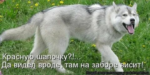 Да вон видишь