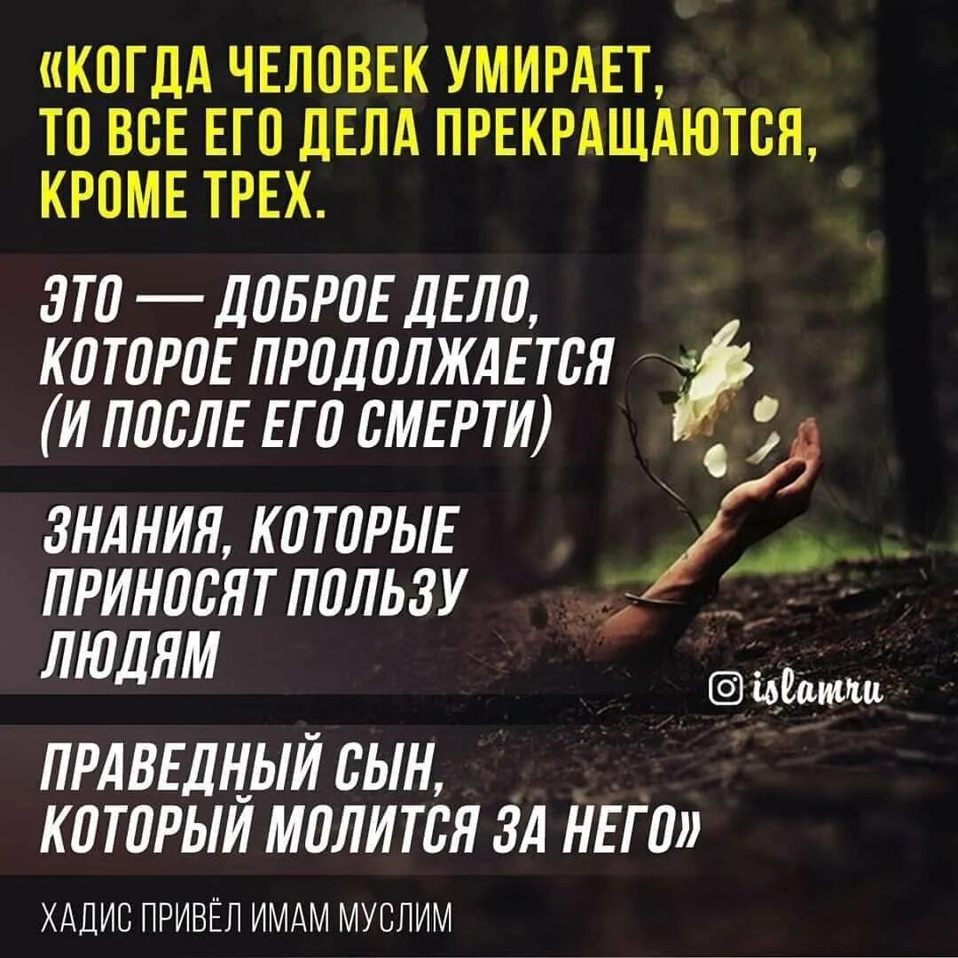 Смерть в исламе цитаты. Хадис про братство мусульман. Шахада для принятия ислама на арабском. Три дела остаются после смерти исламе. Когда умирает мусульманин что нужно говорить.