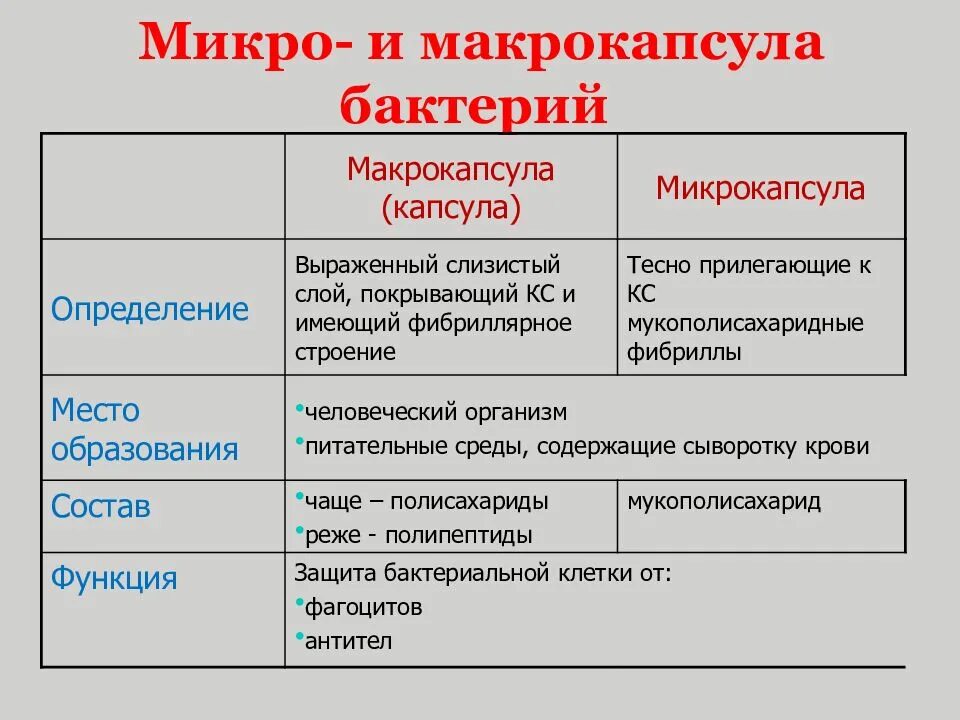 Бактерия строение функции. Строение бактерий капсула и микрокапсула. Микрокапсула бактерий. Макрокапсула капсула бактерий. Структура бактериальной клетки микрокапсула.