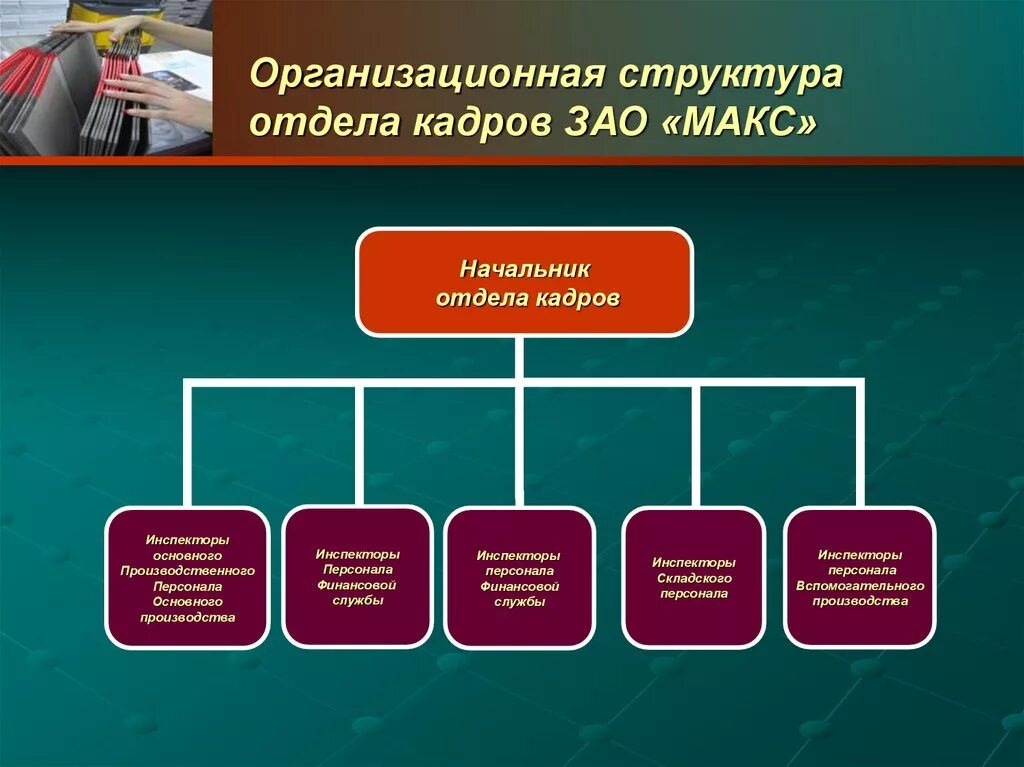 Департамент организация учреждение. Структура отдела кадров на предприятии схема. Начальник отдела кадров организационная структура. Организационная структура кадрового отдела. Организационная схема отдела кадров.