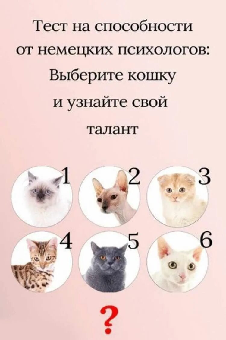 Психологические тесты которые помогут. Психологические тесты. психологический тест по картинкам. интересные тесты. забавные психологические тесты.