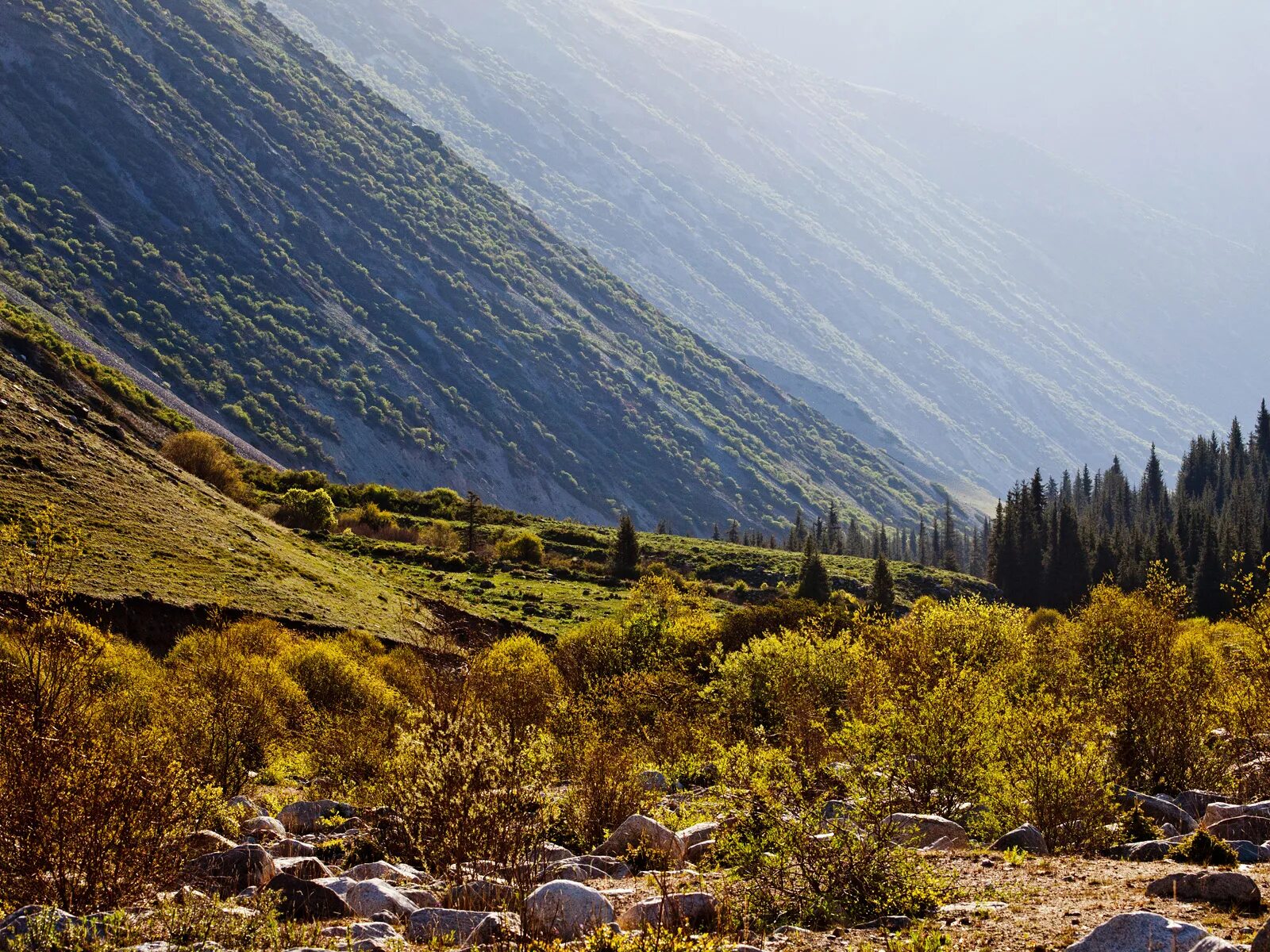 Озеро чатыр-куль киргизия. Ала-арча бишкек природа. Орозо айт в россии. Озеро сары челек кыргызстан. Природа кыргызстана ала арча.