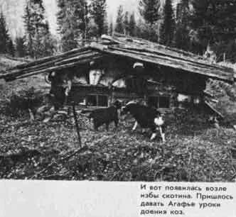 На каком горном хребте располагается таежный тупик